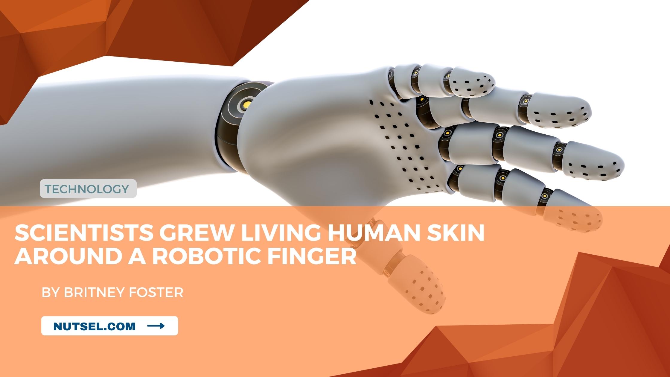 Scientists grew living human skin around a robotic finger