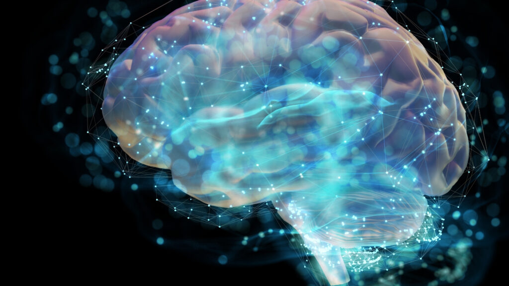 Building a model of an Artificial brain Nutsel