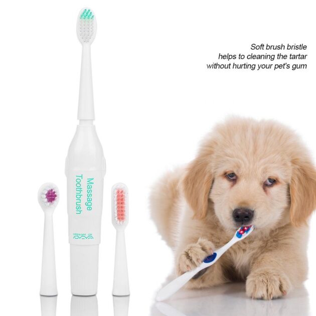 Victool Pet Electric Toothbrush