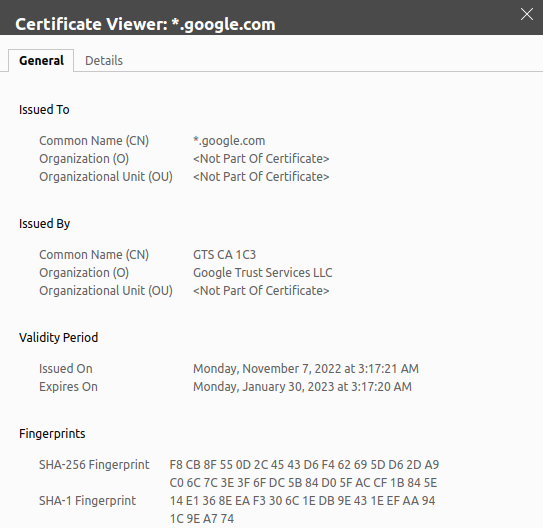 Google's digital SSL certificate